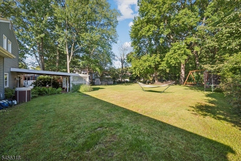 Very large backyard