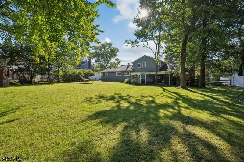 Back yard