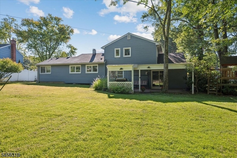 Back yard