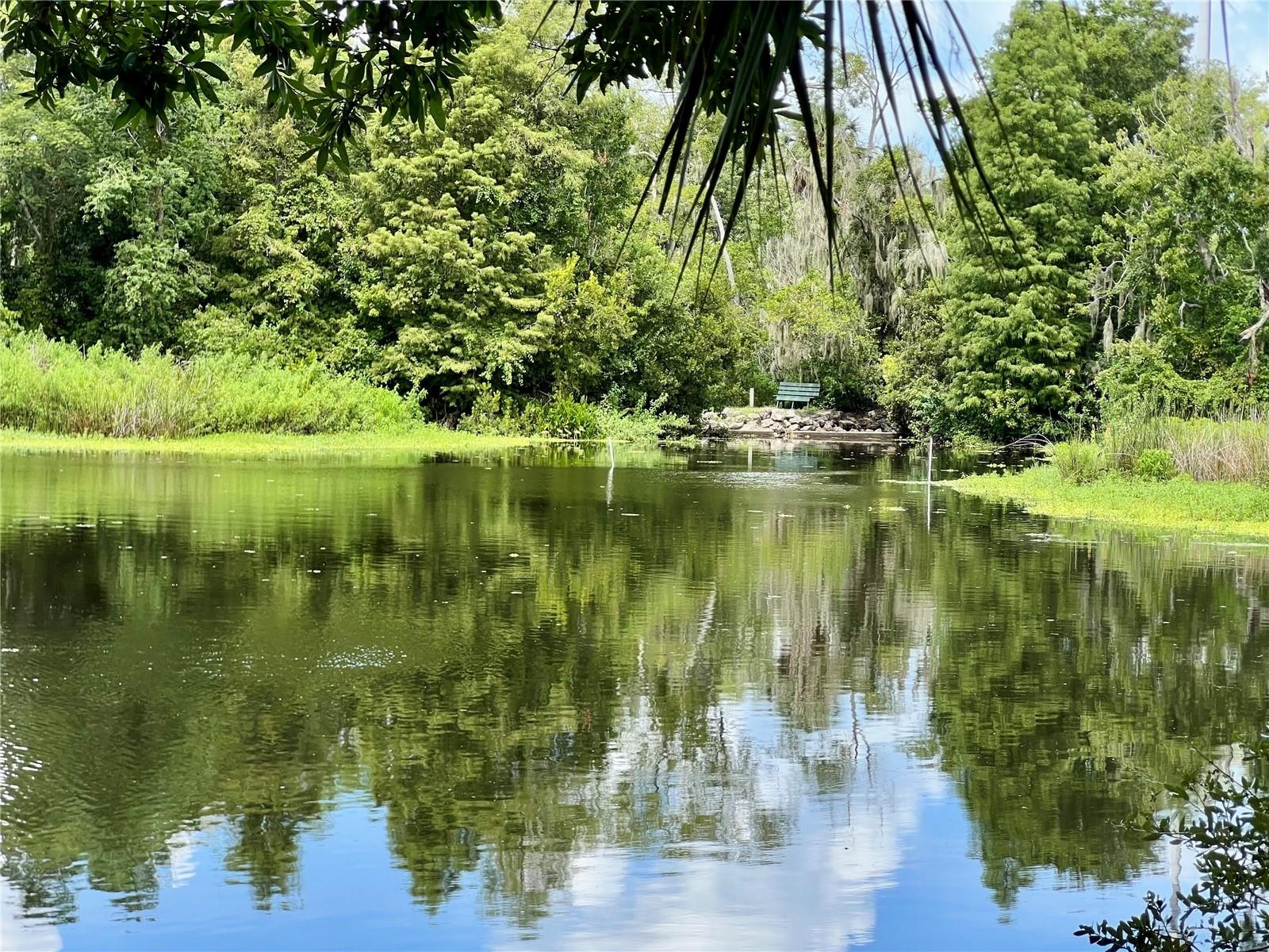 Bass and talapia are caught here, or just sit and take in nature