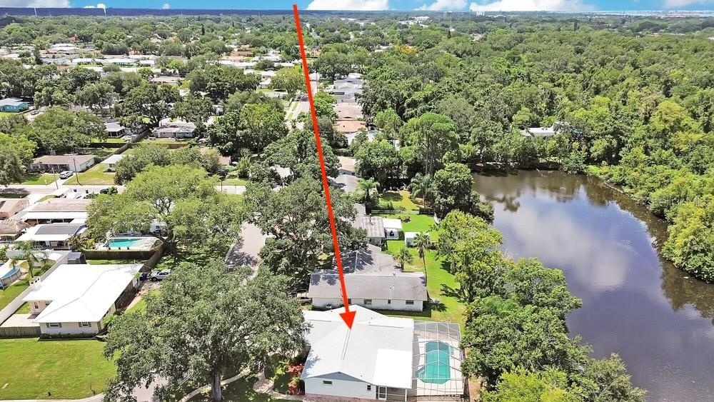 Rare lakefront w pool with a Dunedin location that can't be beat