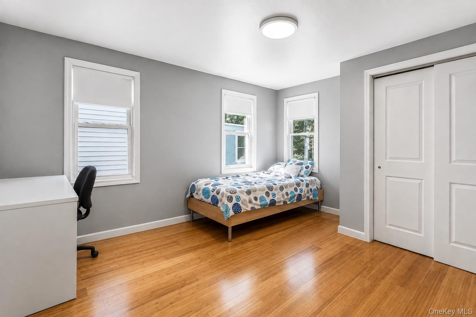 Hardwood flooring, painted walls, two windows with roller shades, and a flush mount ceiling light