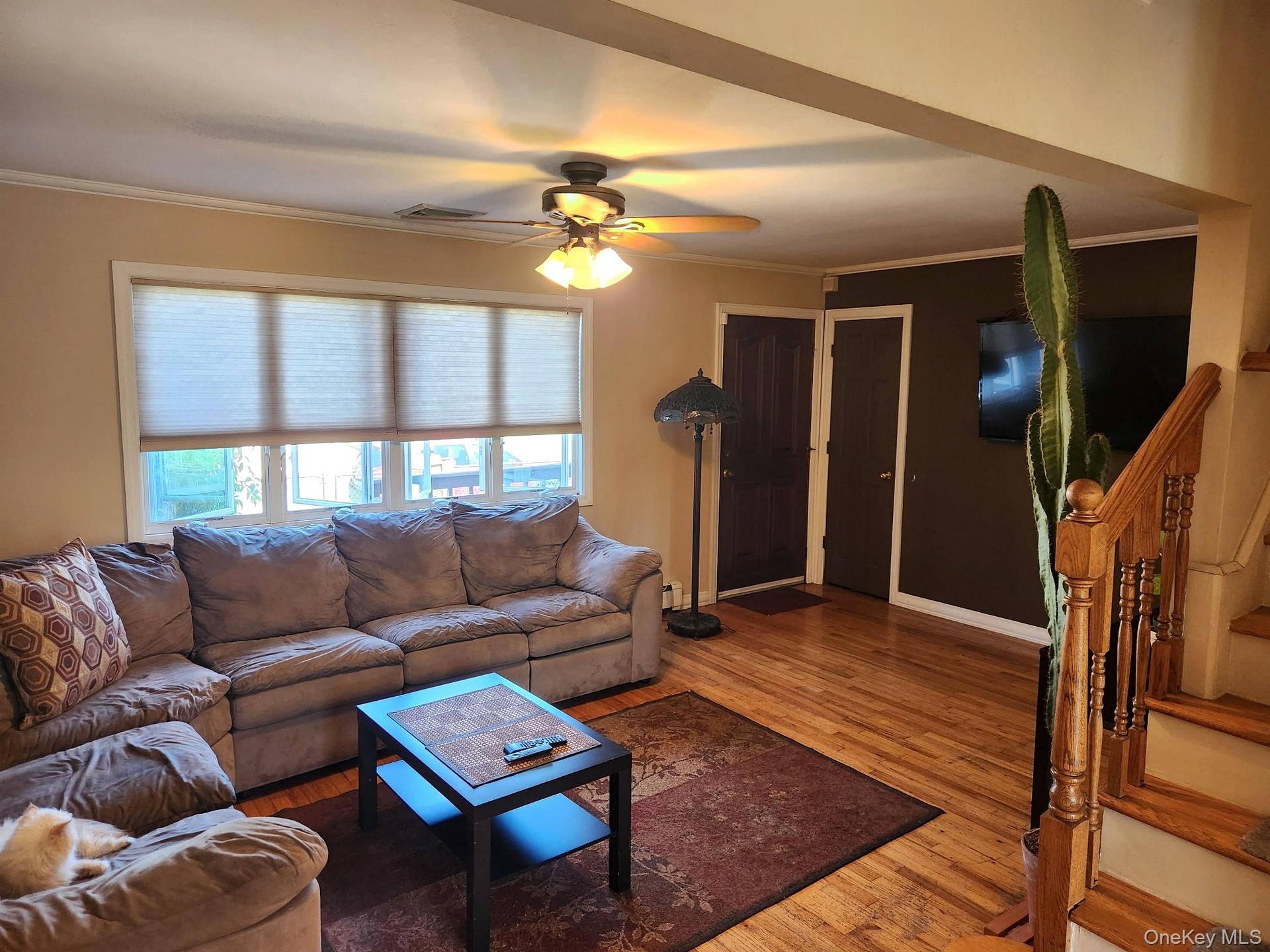 Hardwood flooring throughout, large window with cellular shades, ceiling fan with integrated lighting, dark wood-finish doors, and a wood staircase