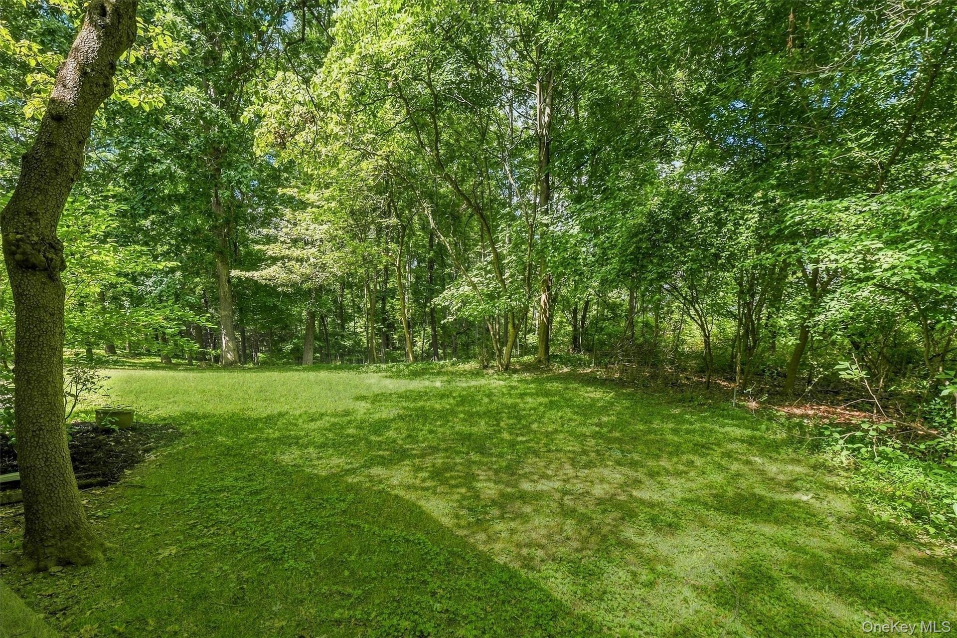 Nice backyard with privacy of woods in rear