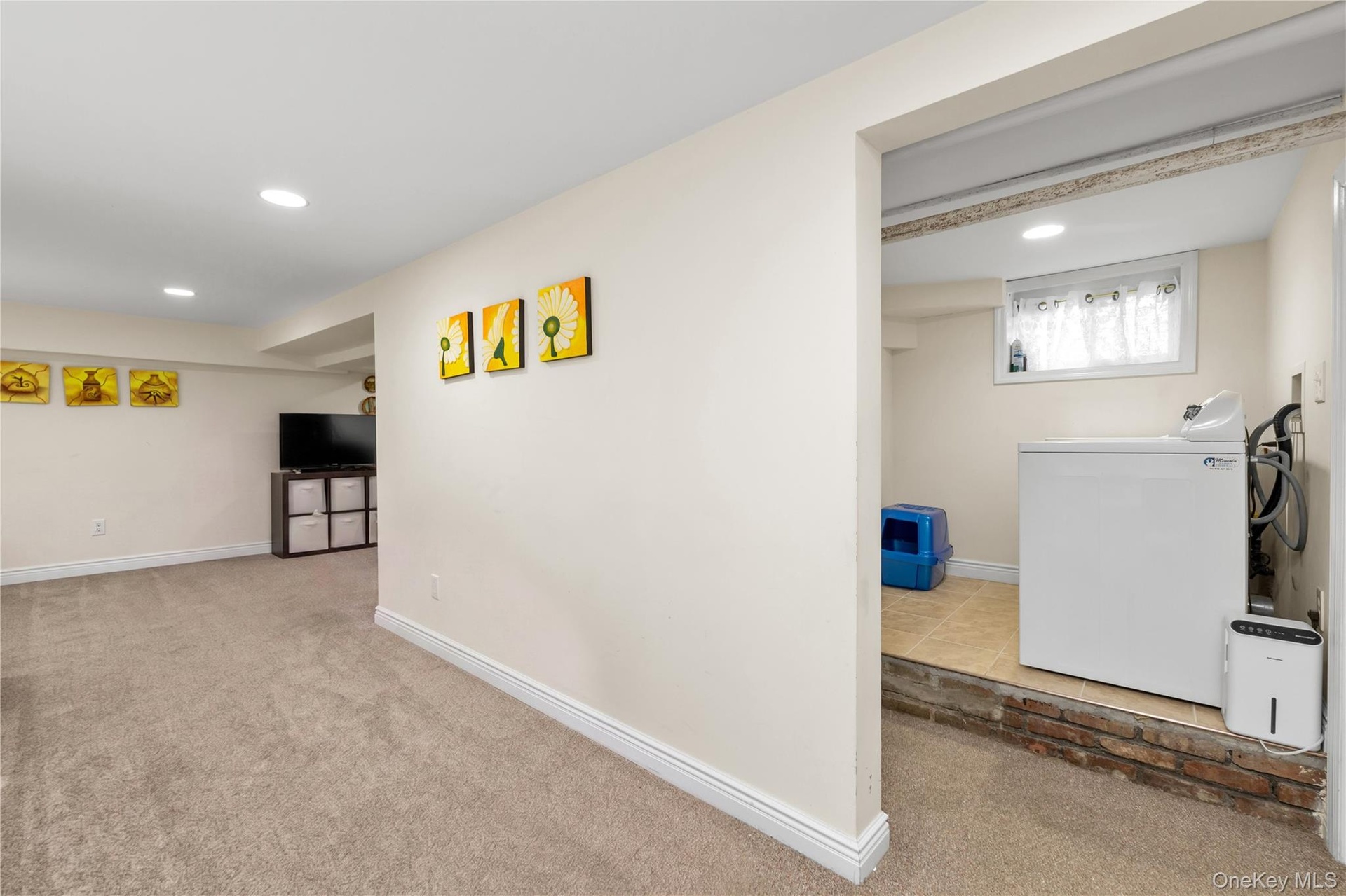 Basement Laundry