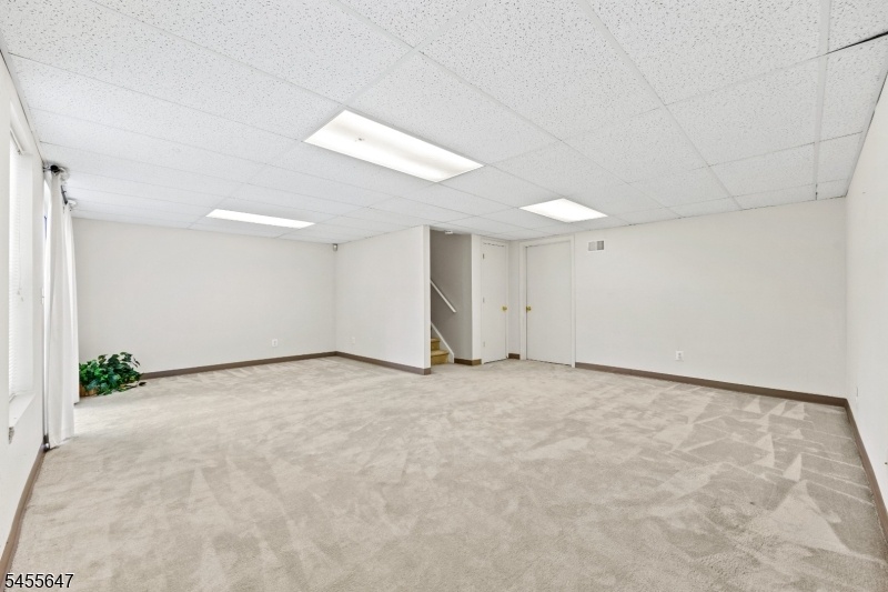 Family Room/Rec Room