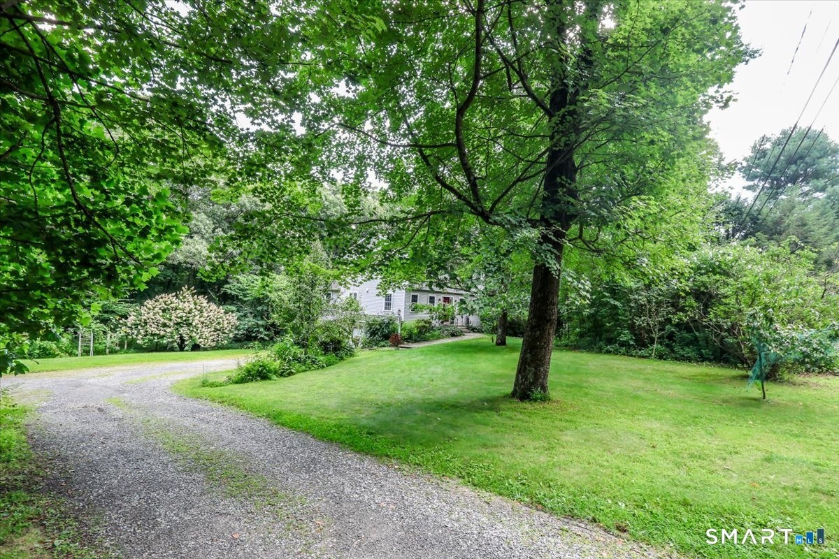 Front Yard