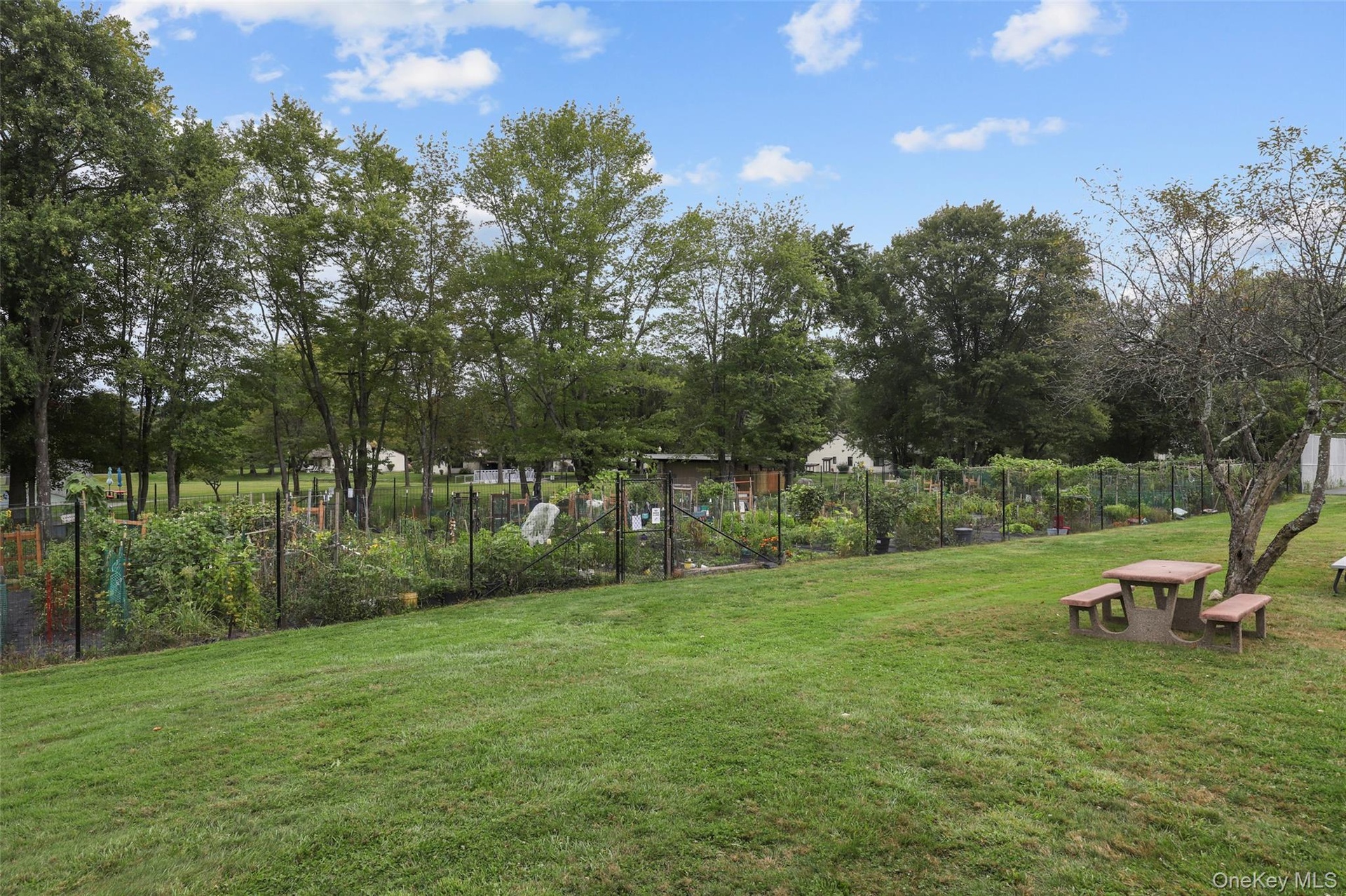 Garden club enjoys growing their own vegetables.
