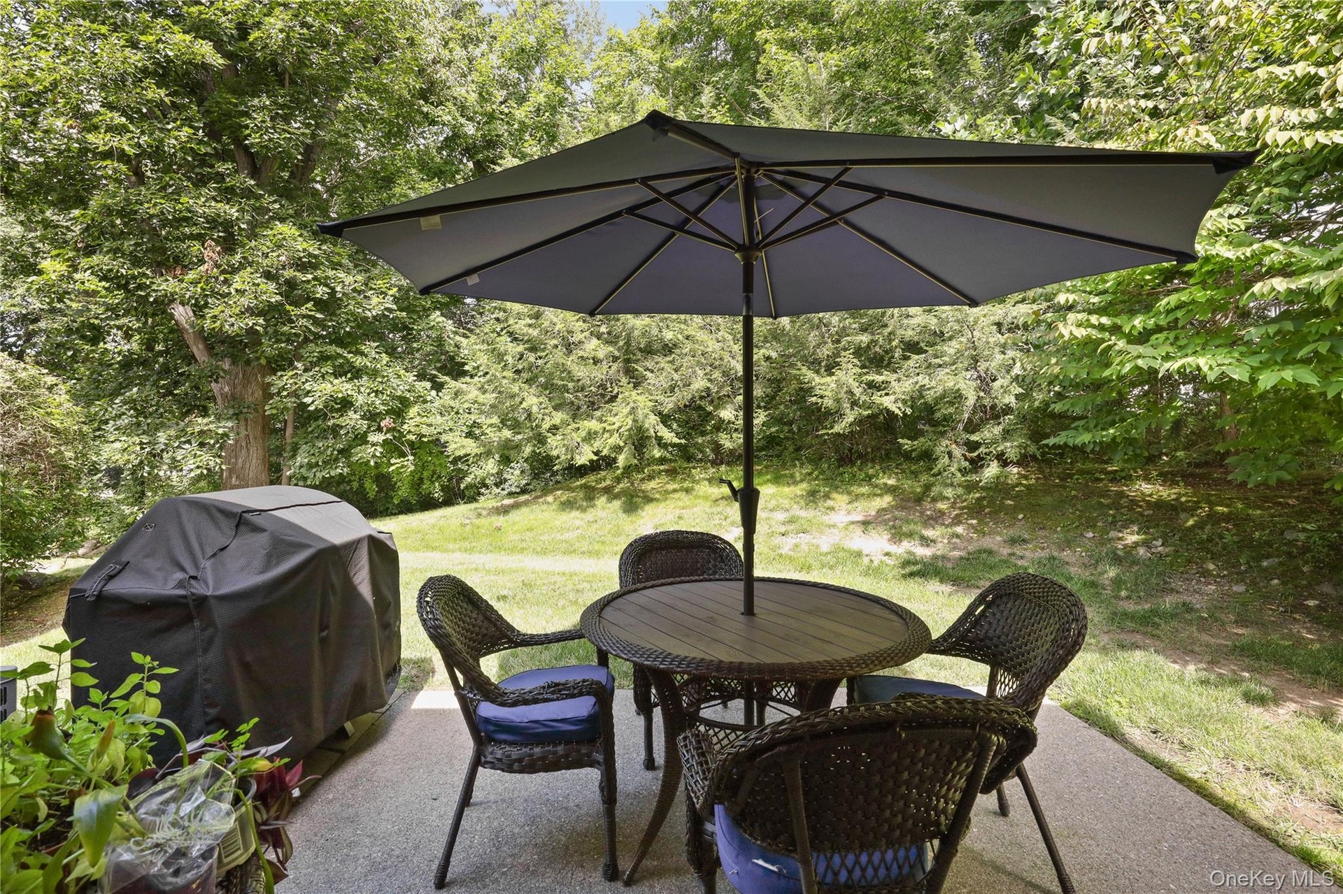 Exceptionally private patio with wooded views