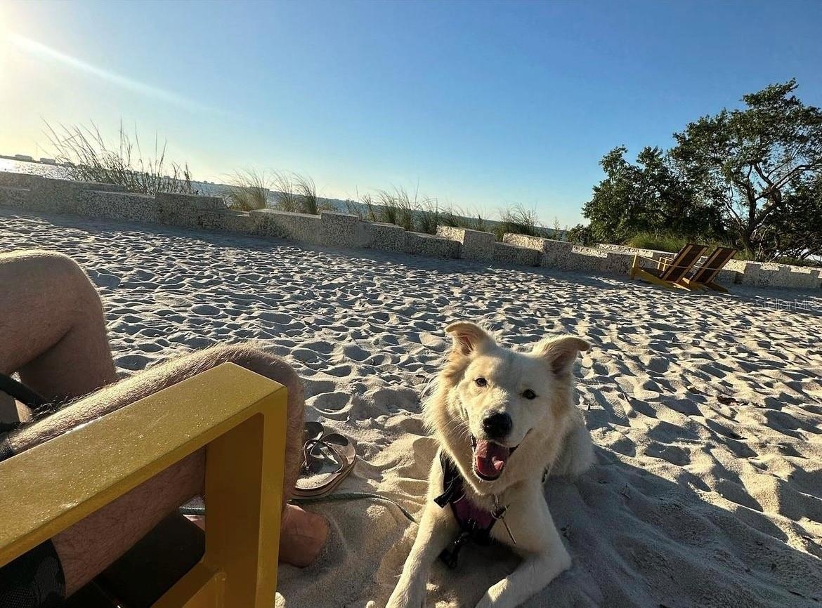 THE BEACH AT THE BAY PARK NEXT DOOR
