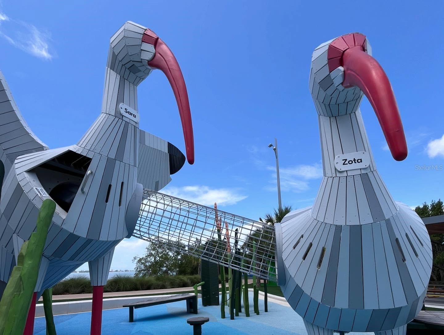 SARA & ZOTA IBIS
