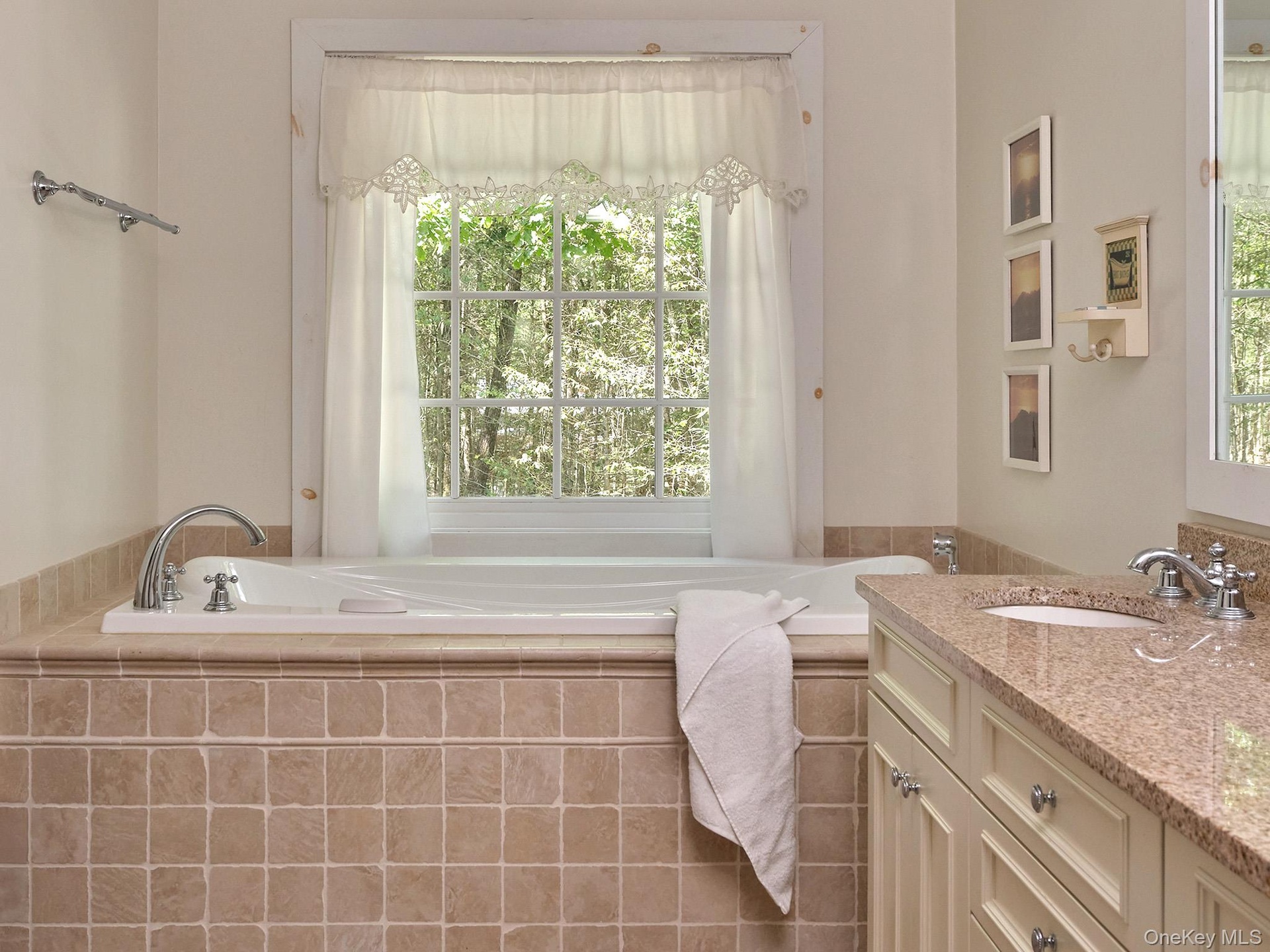 Full bath with vanity, a garden tub, and plenty of natural light