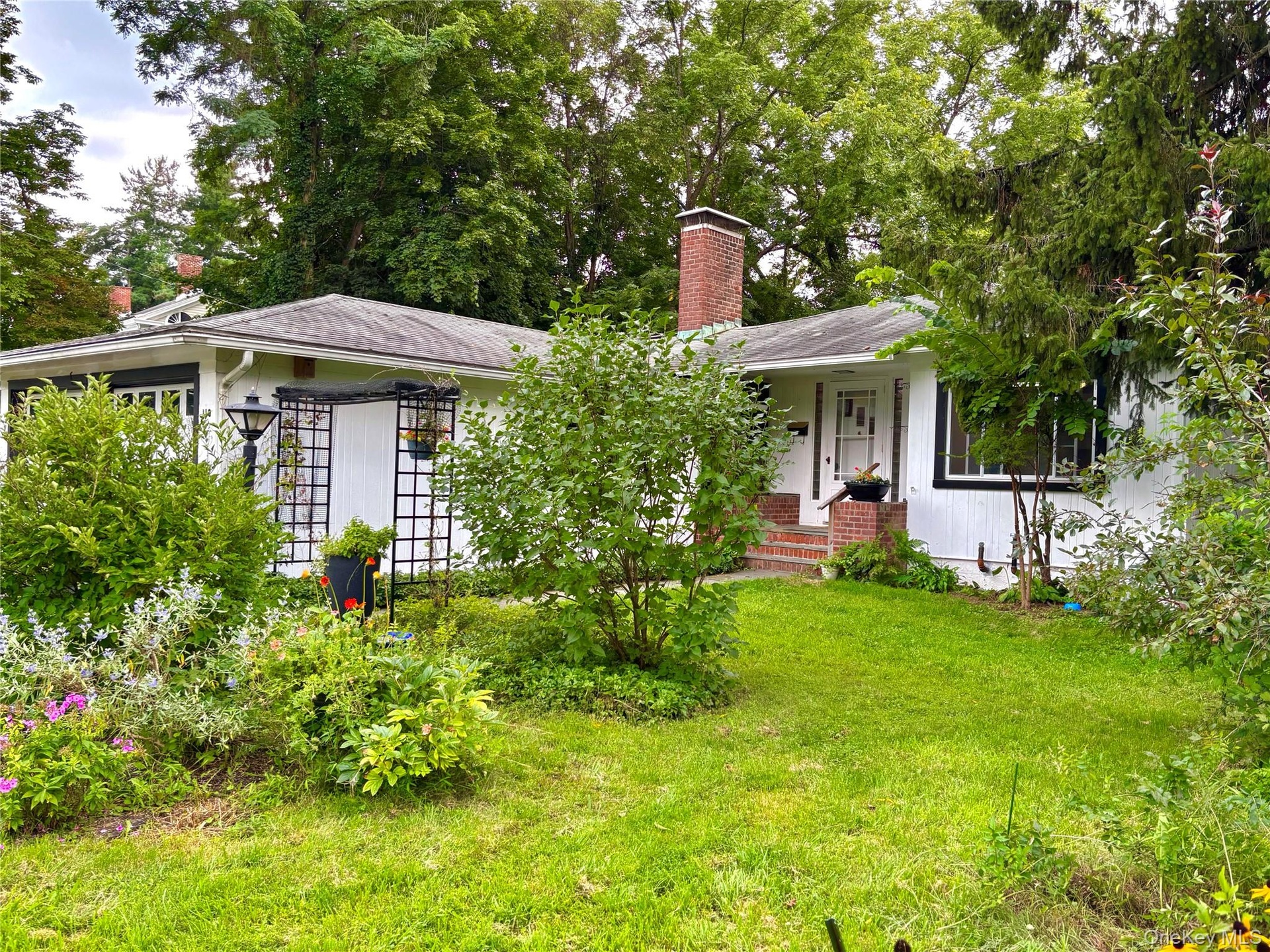 Front yard
