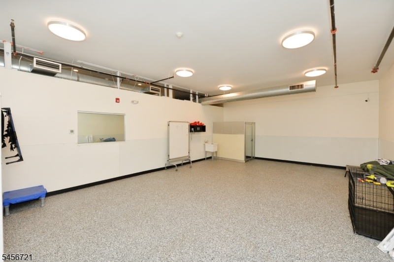 interior excise