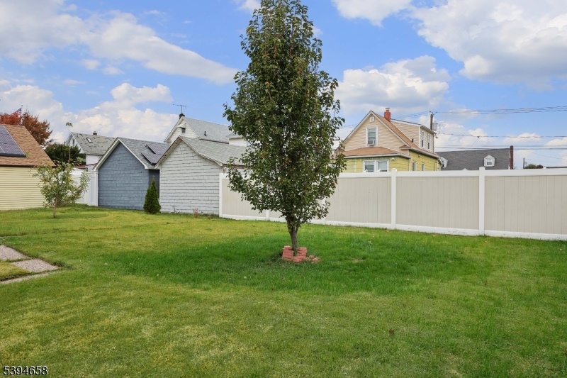 Back yard