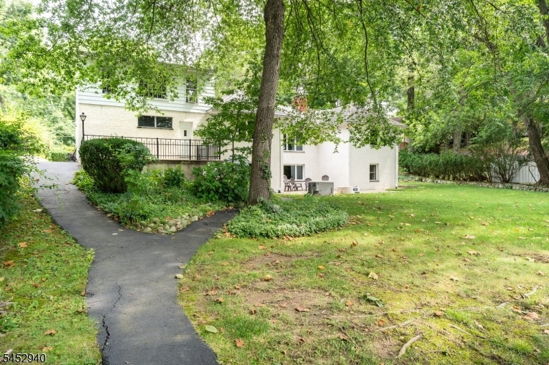 Rear Yard and Patio