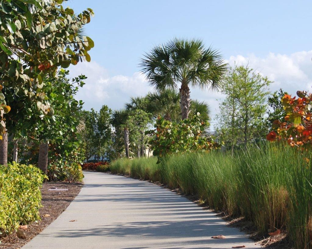 walking path
