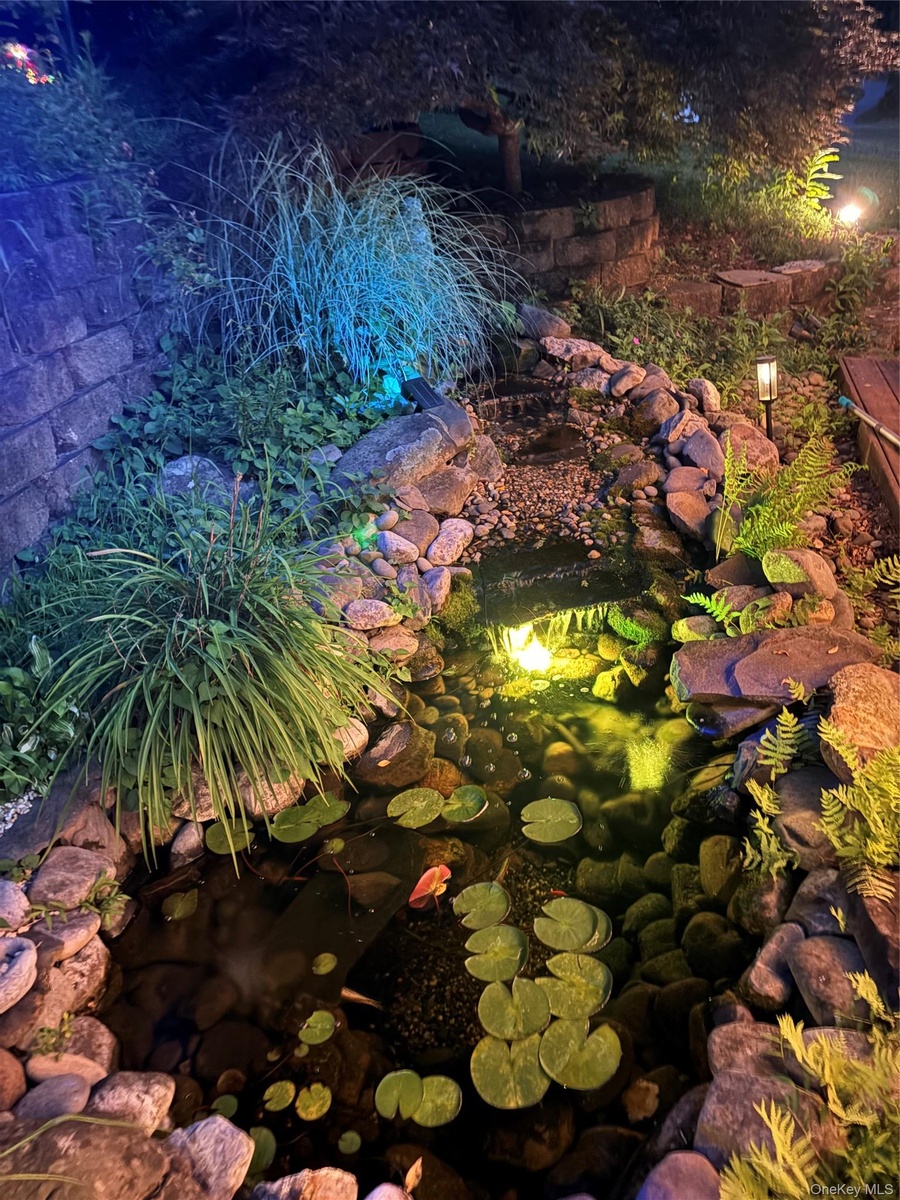 View of Koi Pond at night