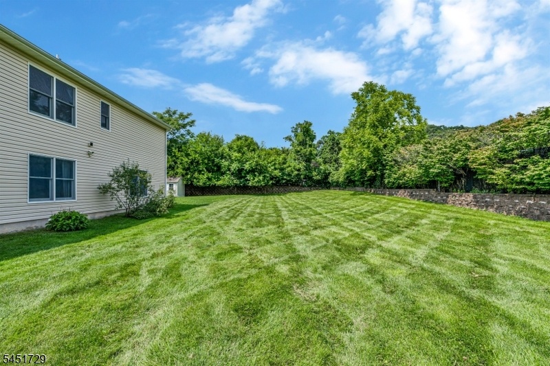 Side Yard