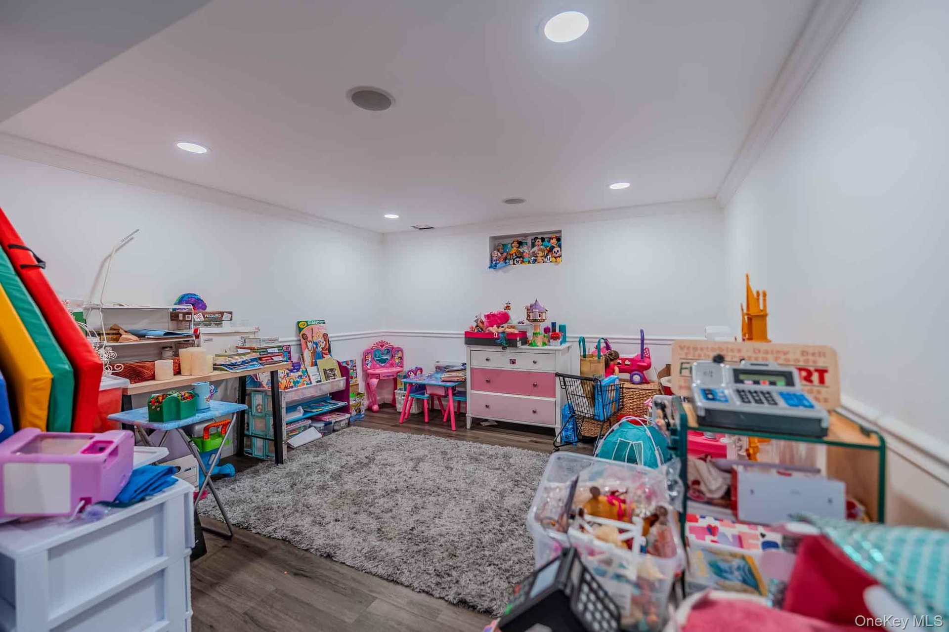 lower level Playroom