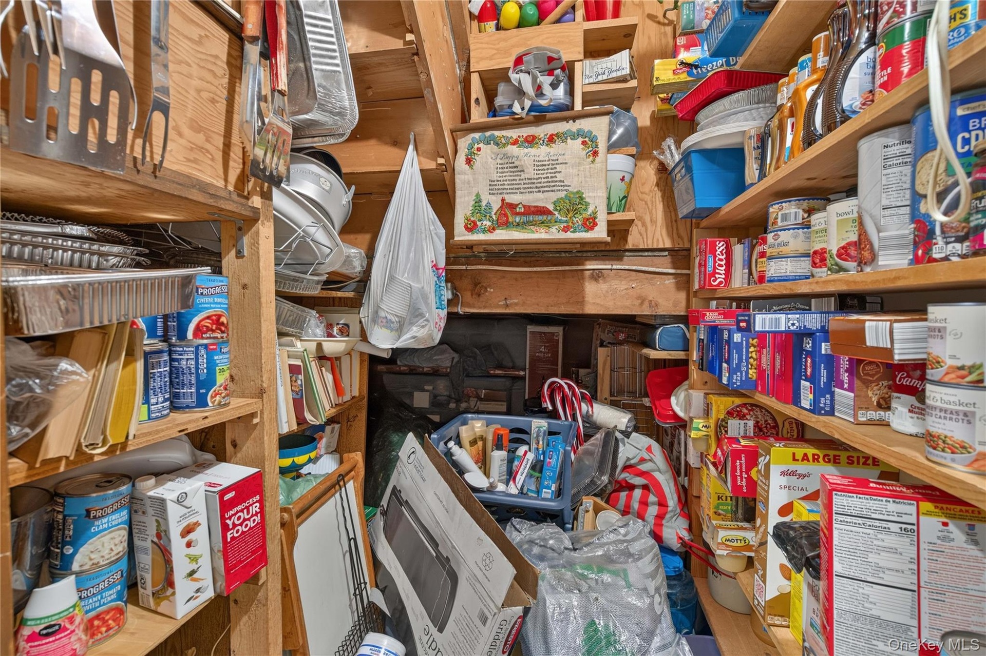 Pantry under the stairs. Plenty of extra storage space.