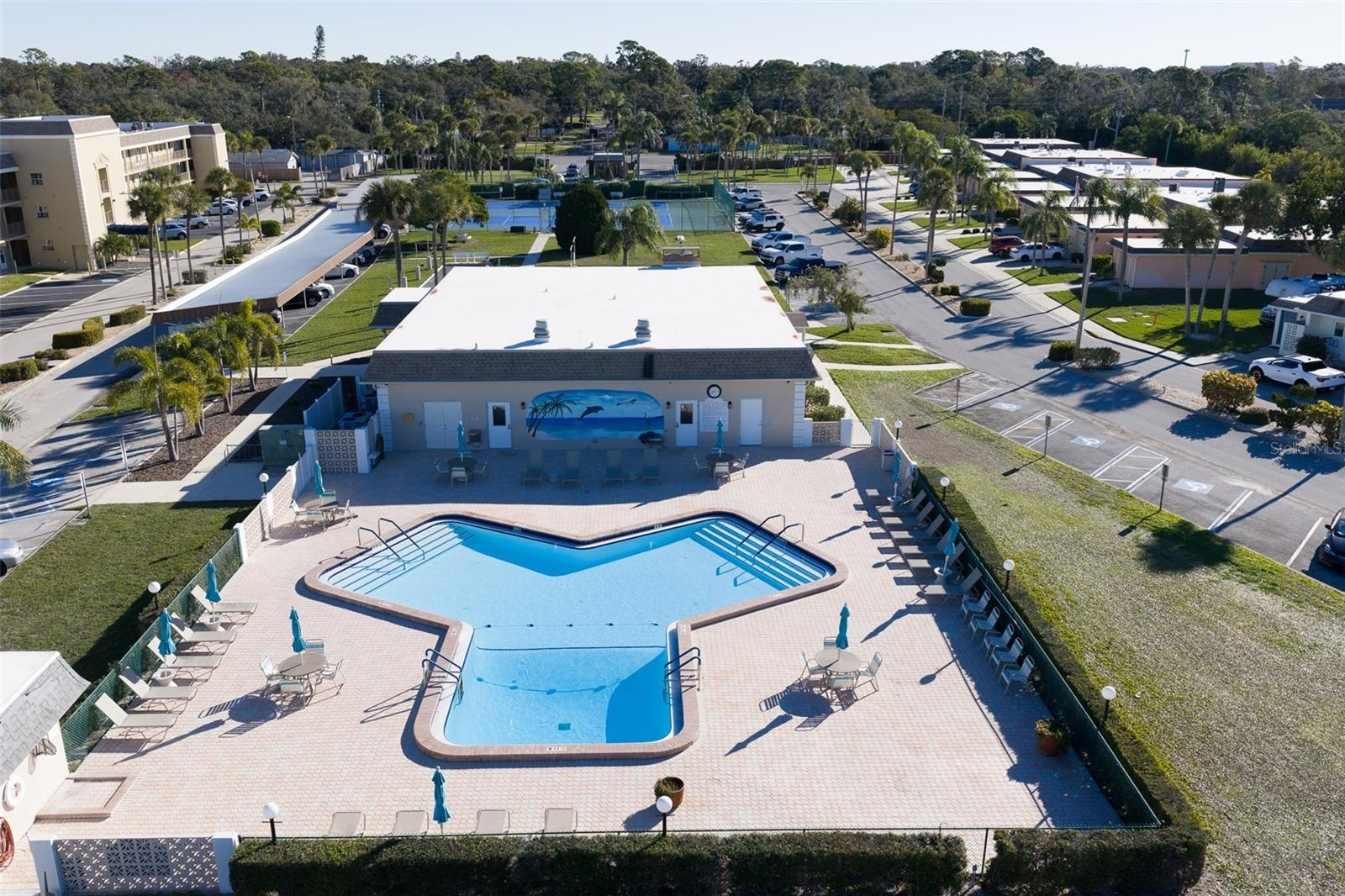 Aerial view of the pool