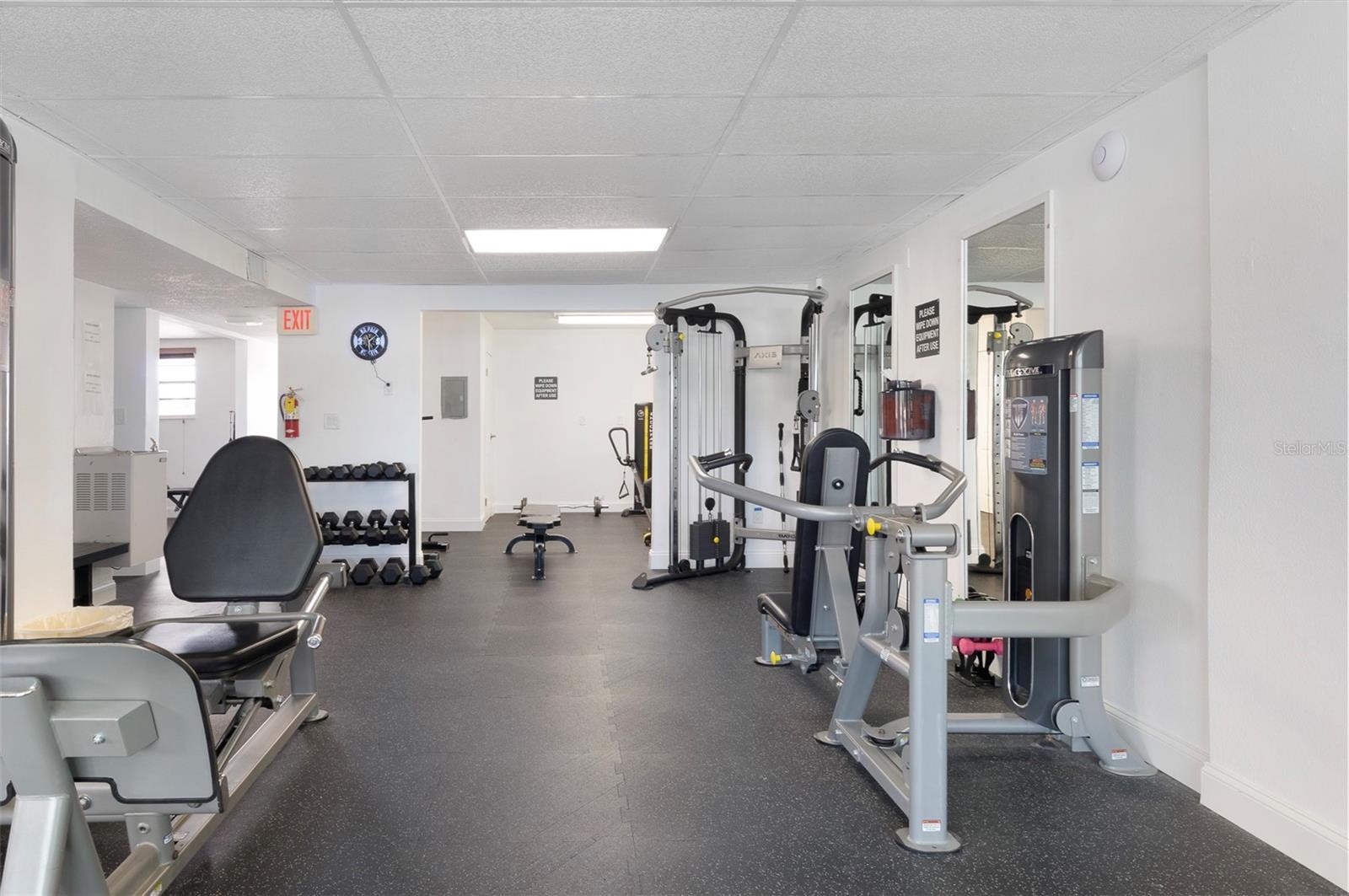 Large Exercise Area divided.