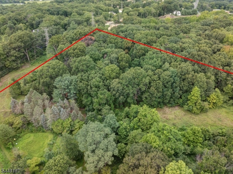 Aerial View with Property Lin