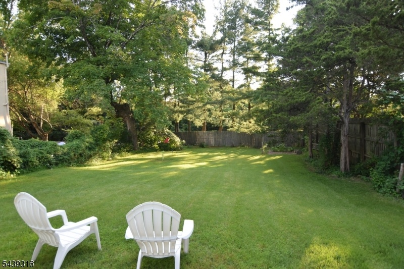 Rear yard