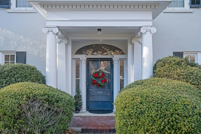 Front View