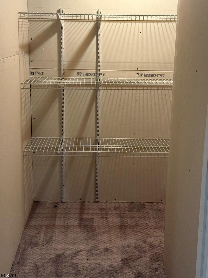 Basement closet