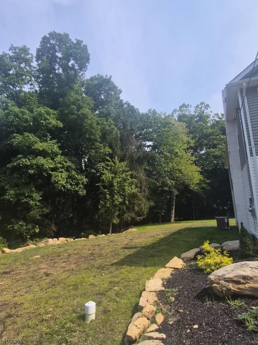 Side yard
