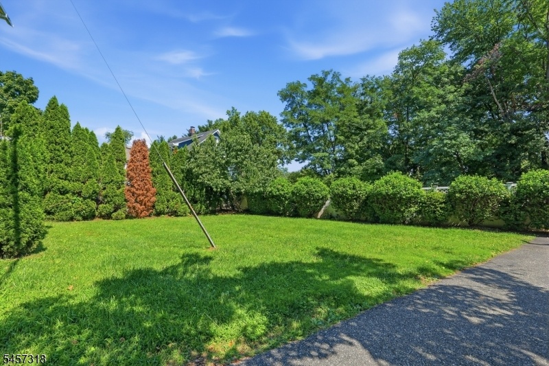 Side Yard