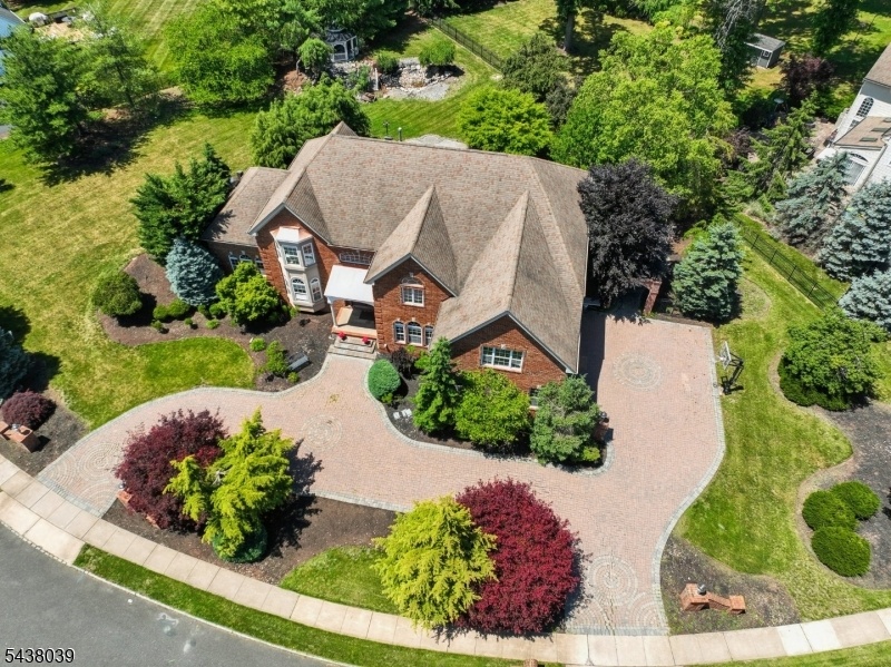 Drone View