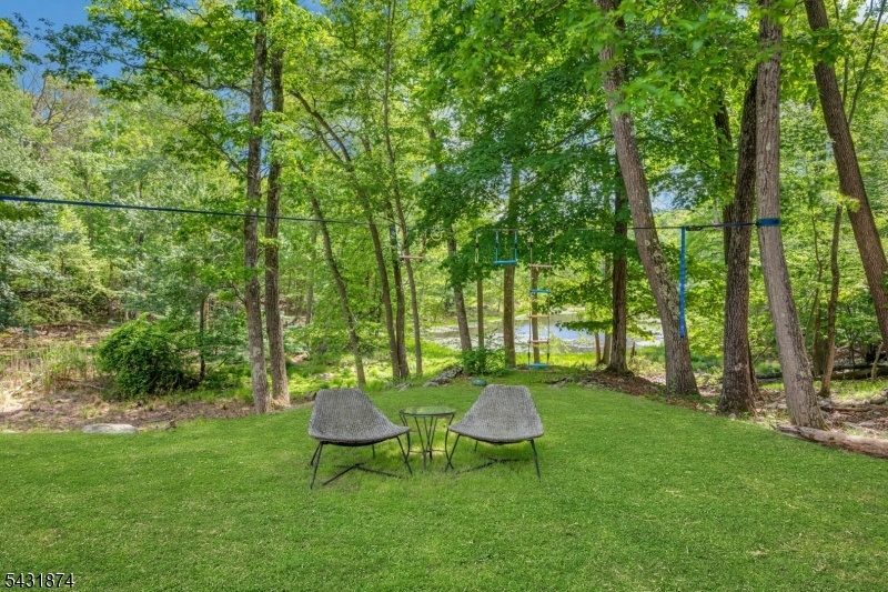 Backyard Lawn and Play Area