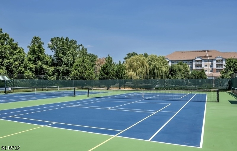 Court