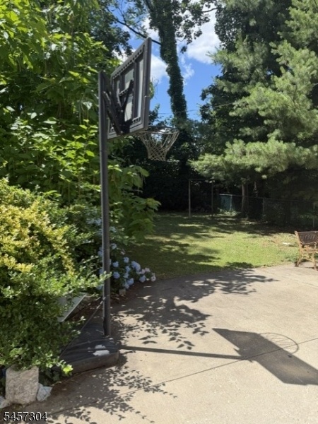Back yard 1