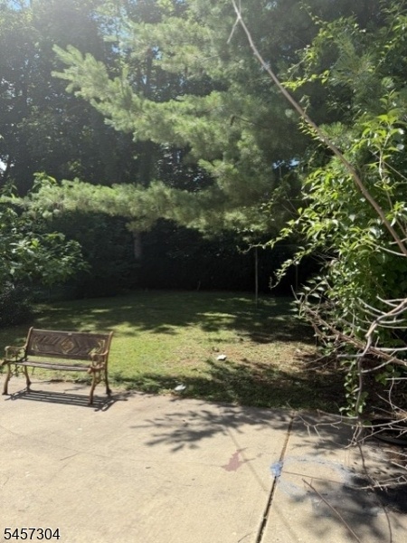 Rear Yard 2