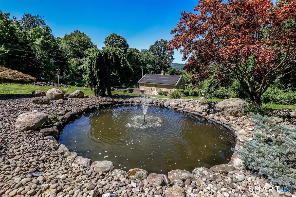 Pond