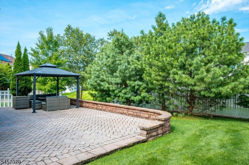 Exterior- back
