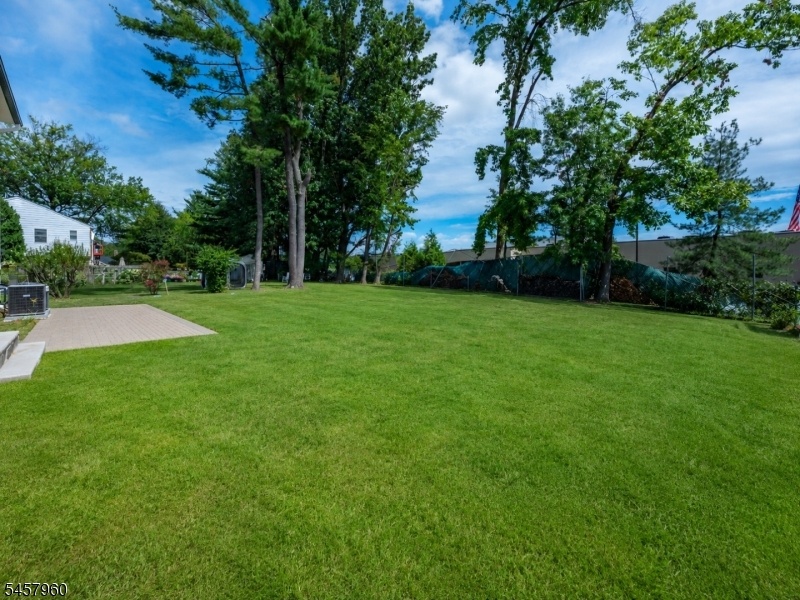 yard