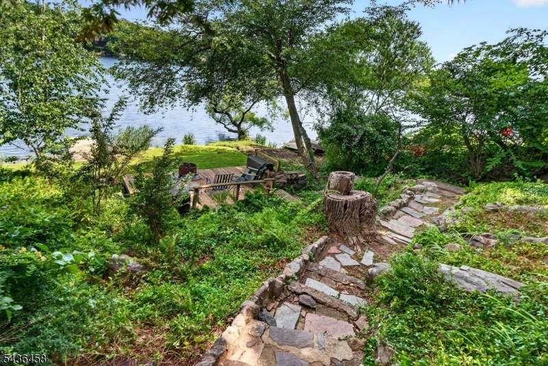 Path to Lake