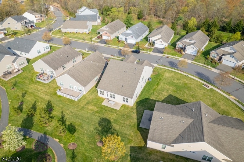 Drone Backyard View