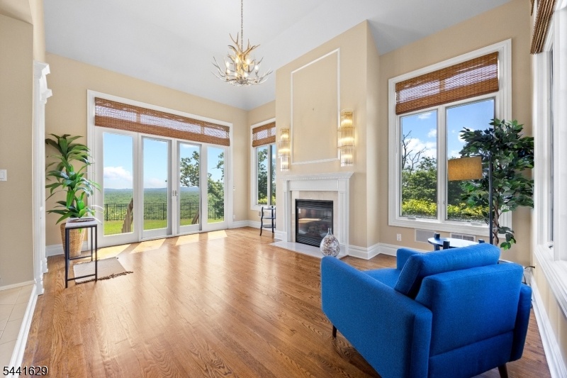 Conservatory with Fireplace