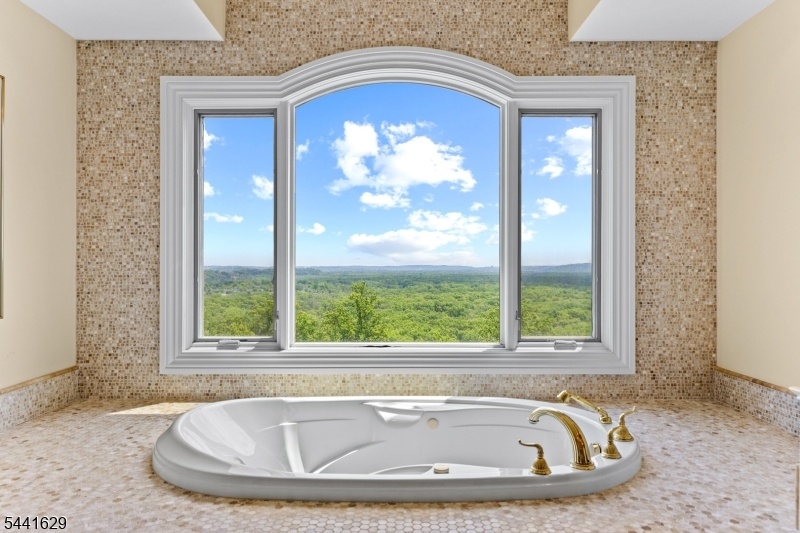 Primary Tub with a View