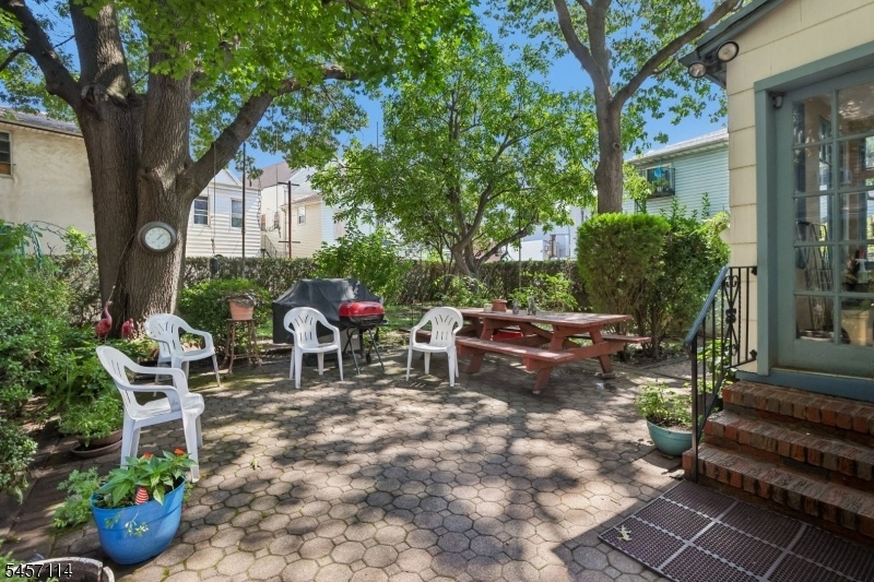 Back yard
