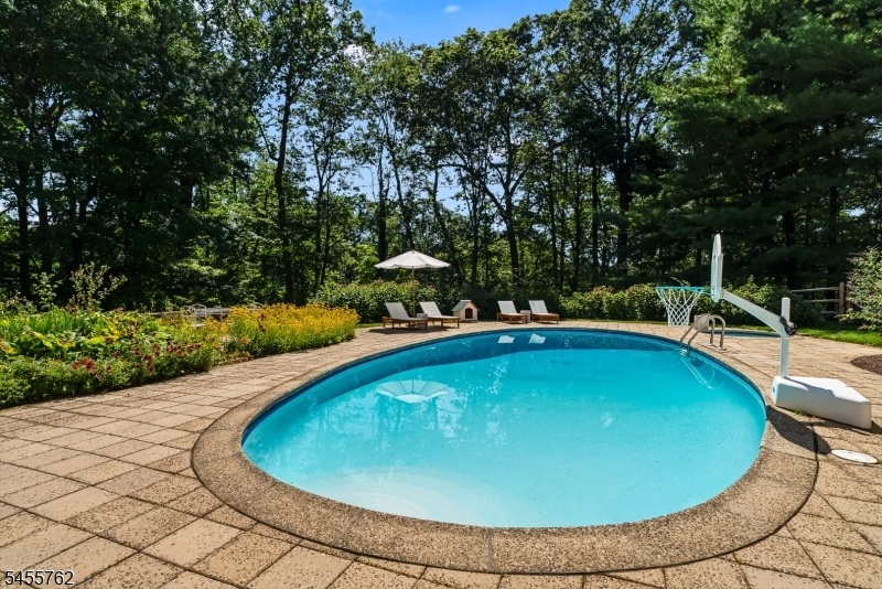 Pool and Patio