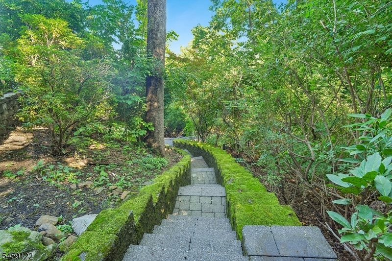 Staircase to lower yard