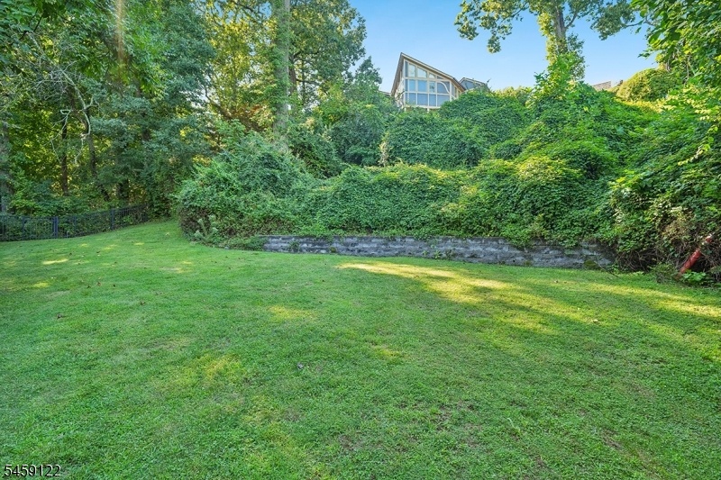 Lower Level Yard