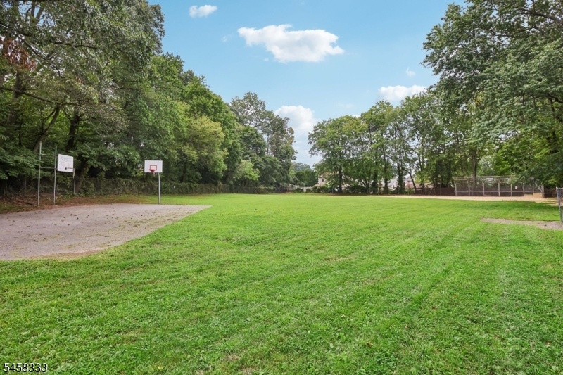 Local Park